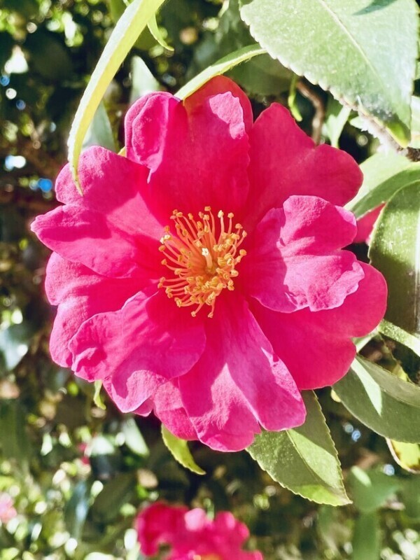 おはようございます♡