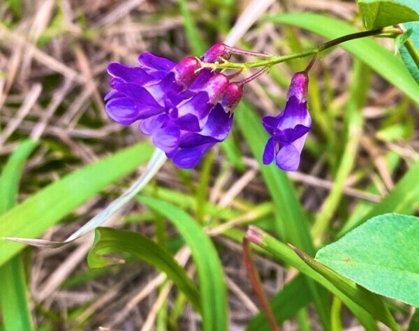 ご予約ありがとうございます♡