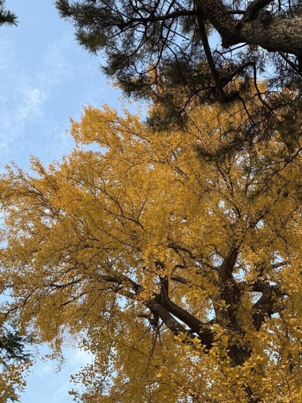 自分にも労りを