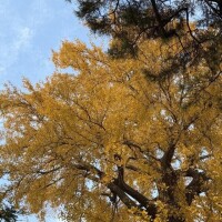 自分にも労りを