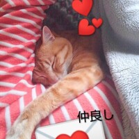 仲良くヌクヌク👩❤️😺
