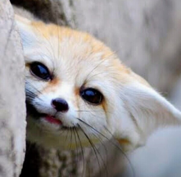 忘れてたー(^o^;)