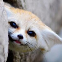 忘れてたー(^o^;)