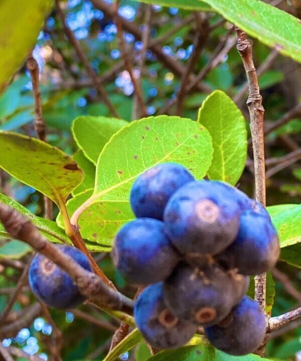 おはようございます♡