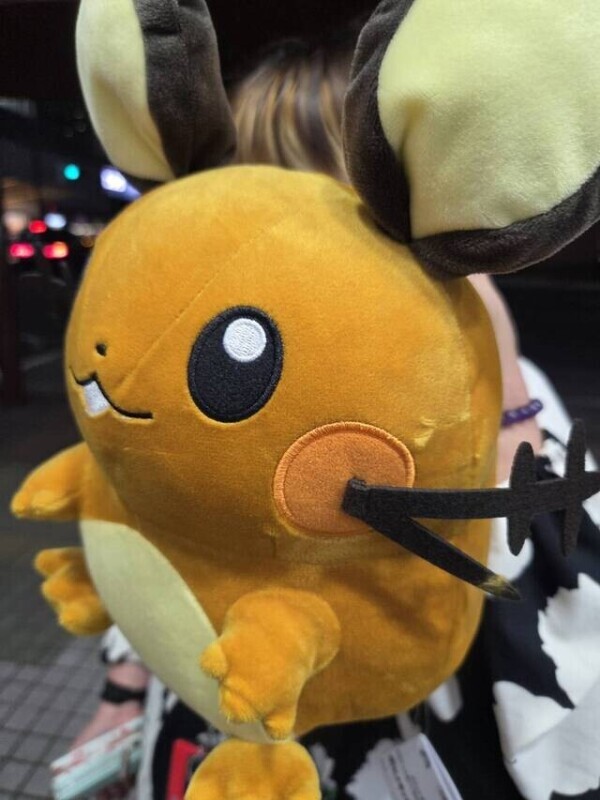 12:30～ご案内可能になります💛🧡