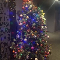 御礼日記✴NKSTさま