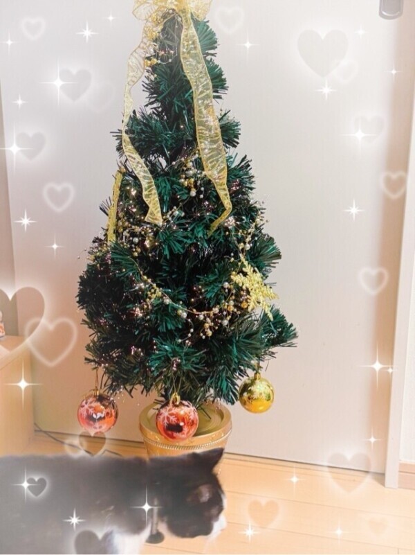 おやすみなさーい