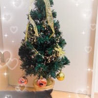 おやすみなさーい