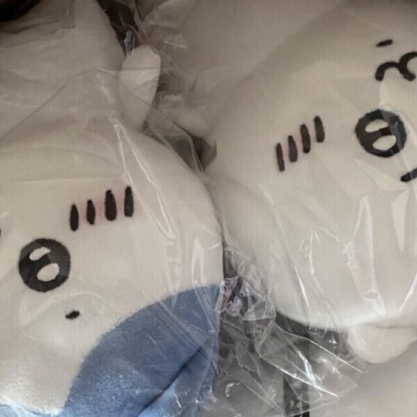 やっと、会える🤍