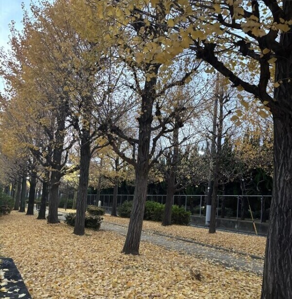 御礼日記✴YMTさま