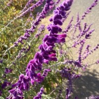 明日のご予約ありがとうございます♡