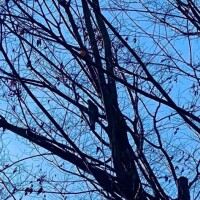 おはようございます♡