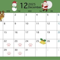 12月後半の出勤日です！！