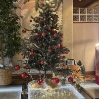 12月20日  💕北松戸  アルファ💕