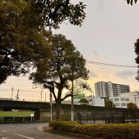 昨日のＳさん💌♡