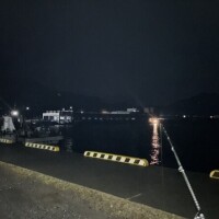 ( ˙-˙)🎣‬......