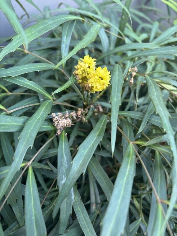 ウチの仔との2泊3日調教