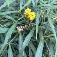 ウチの仔との2泊3日調教