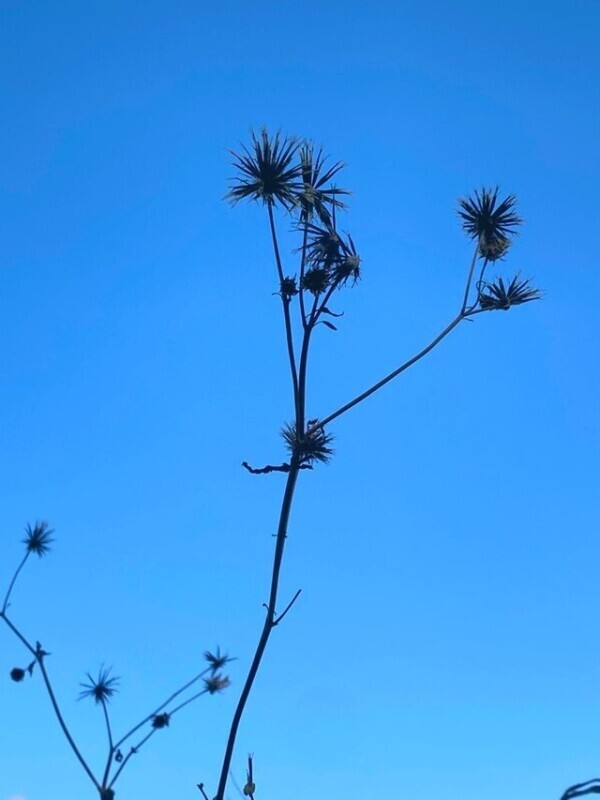 おはようございます♡