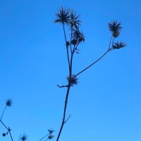 おはようございます♡