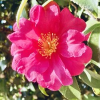 ご予約ありがとうございます♡