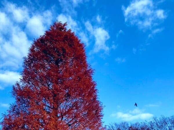 明日のご予約ありがとうございます♡