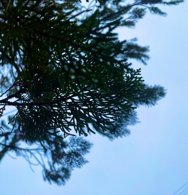 おはようございます♡