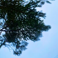 おはようございます♡