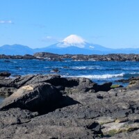 アカリの1月４日♡