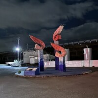 由比漁港°･🐠