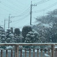 びっくりでしたー