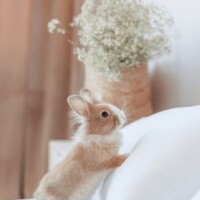 コワイ((( ；ﾟДﾟ)))