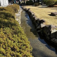 お礼(՞_  ̫ _՞)"