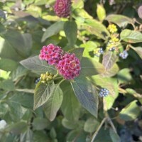 昨日、寒かったよね