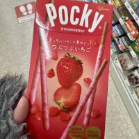 思い出しポッキーの日‼️
