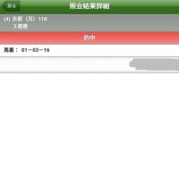 シンザン ⌒Ｙ⌒Ｙ⌒Ｙ⌒🐎💨