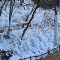 アカリの1月11日♡