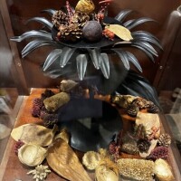 ありがたき幸せ(ﾉ_ _)ノ✨