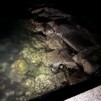 マンション🏘️