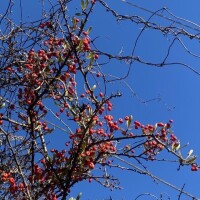 おはようございます♡