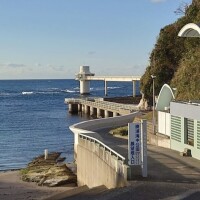 お礼(՞_  ̫ _՞)"