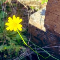 ご予約ありがとうございます♡