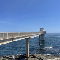 お礼(՞_  ̫ _՞)"