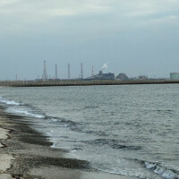 お礼(՞_  ̫ _՞)"