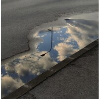 お礼(՞_  ̫ _՞)"本Sさま◡̈⃝˖*