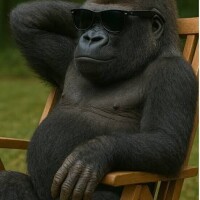 ゆるいゴリラの描き方