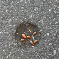 オ✱ニーでイケなくても満足派