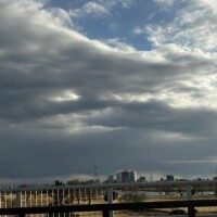 お礼(՞_  ̫ _՞)"本Kさま◡̈⃝˖*