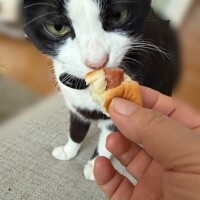 たーだいまぁ〜