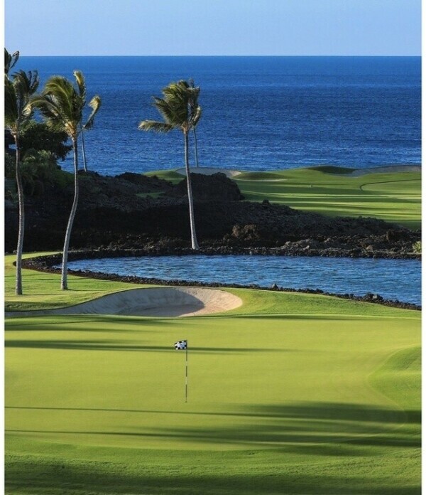 お礼(՞_  ̫ _՞)"本Iさま◡̈⃝˖*